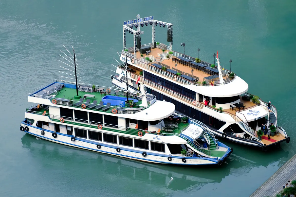 River Tyne Cruises Compared: Sightseeing, Ferry and Party Boats